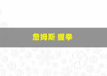 詹姆斯 握拳